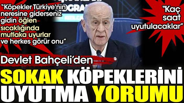 Devlet Bahçeli 'Köpekler öğlen sıcaklığında mutlaka uyurlar' dedi. 'Köpekler kaç saat uyutulacak?' diye sordu