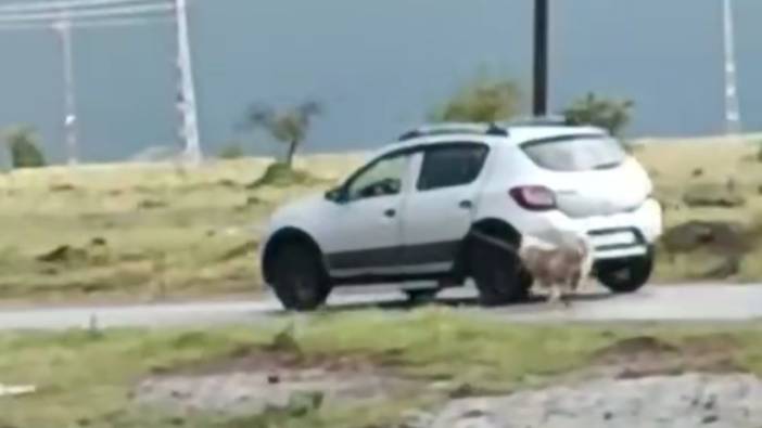 Vicdansız şahıs köpeği aracına bağlayıp sürükledi