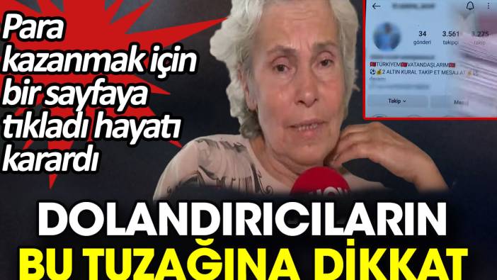 Dolandırıcıların bu tuzağına dikkat. Para kazanmak için bir sayfaya tıkladı hayatı karardı