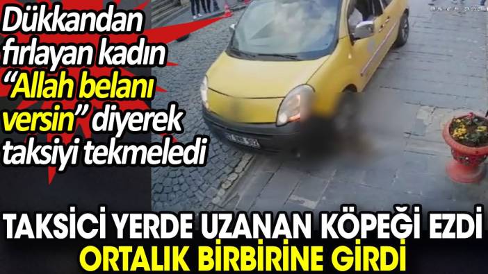 Taksici yerde uzanan köpeği ezdi ortalık birbirine girdi