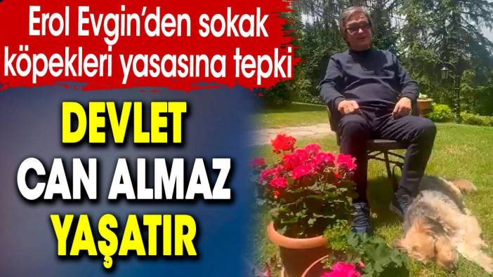 Erol Evgin’den sokak köpekleri yasasına tepki: Devlet can almaz, yaşatır