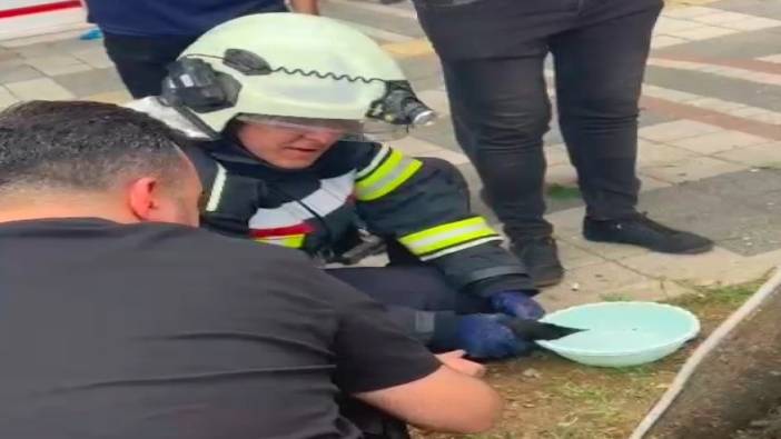 Yaralı karga itfaiyenin tüm çabasına rağmen hayatını kaybetti