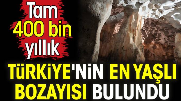 Türkiye'nin en yaşlı bozayısı bulundu. Tam 400 bin yıllık