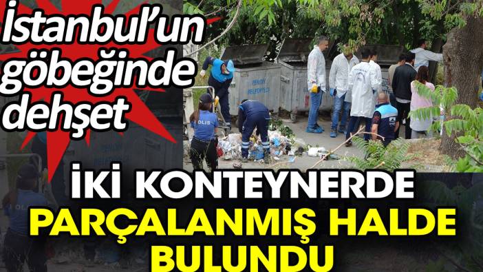 İki konteynerde parçalanmış halde bulundu. İstanbul’un göbeğinde dehşet