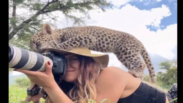 Yaban hayat fotoğrafçısı kadın ile yavru leoparın iç ısıtan anları