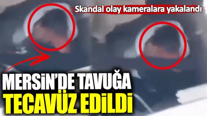 Mersin’de tavuğa tecavüz edildi! Skandal olay kameralara yakalandı