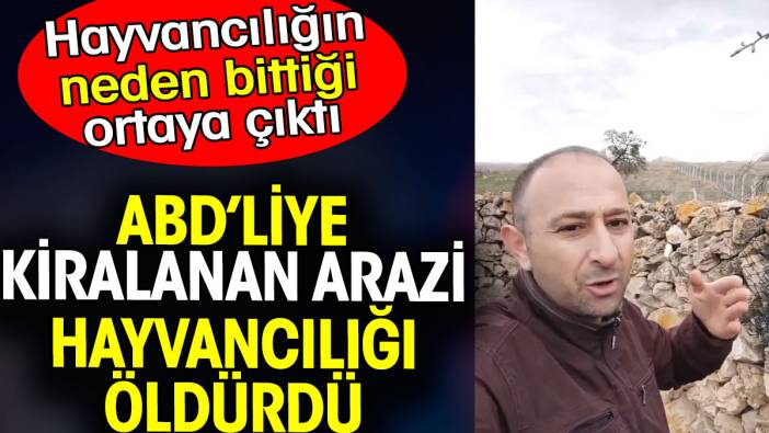 ABD’liye kiralanan arazi hayvancılığı öldürdü. Hayvancılığın neden bittiği ortaya çıktı