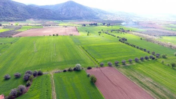 Milli Emlak sudan ucuza arsa satıyor. Koşan alacak peşin ödeyene indirim