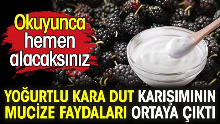 Yoğurtlu kara dut karışımının mucize faydaları ortaya çıktı. Okuyunca hemen alacaksınız