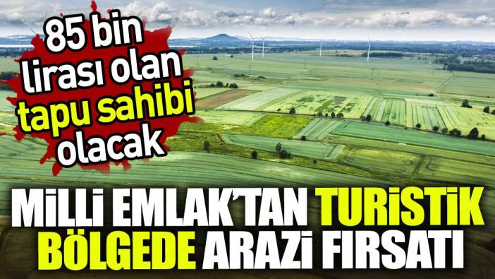 Milli Emlak'tan turistik bölgede arazi fırsatı. 85 bin lirası olan tapu sahibi olacak