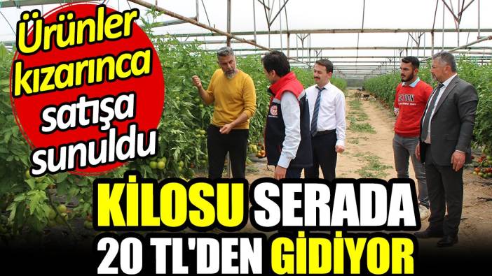 Kilosu serada 20 TL'den gidiyor! Ürünler kızarınca satışa sunuldu