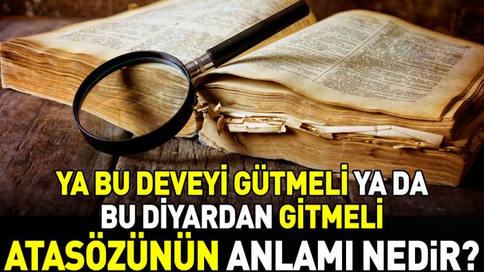 Ya bu deveyi gütmeli ya da bu diyardan gitmeli atasözünün anlamı nedir?