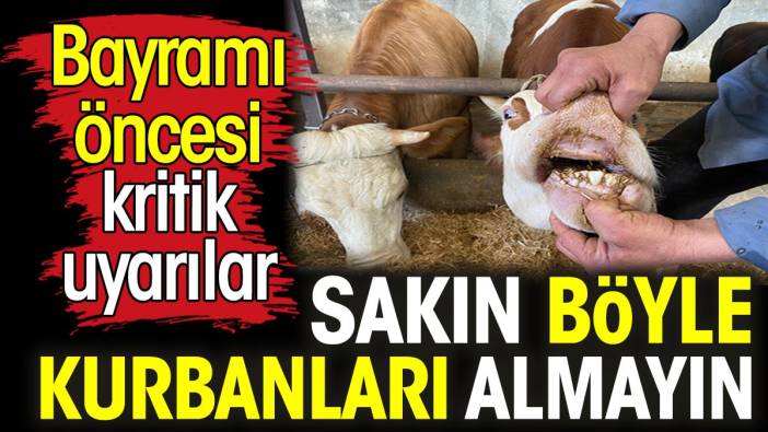 Bayramı öncesi kritik uyarılar. Sakın böyle kurbanları almayın