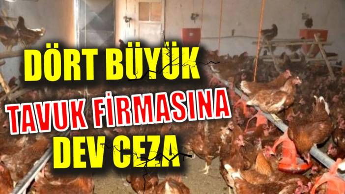 Dört büyük tavuk firmasına dev ceza