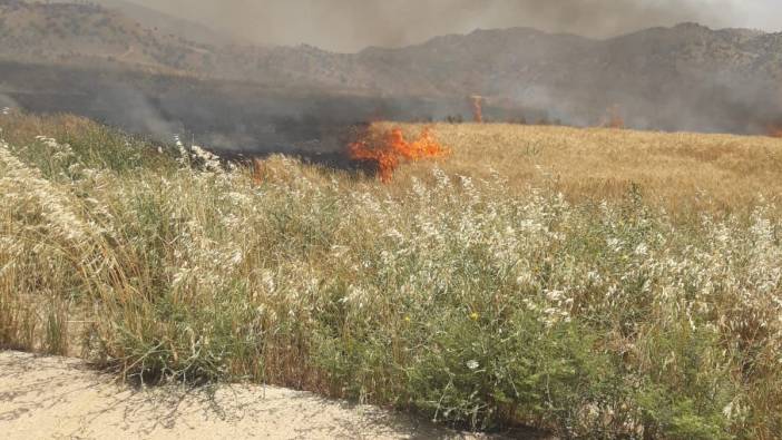 Şırnak'ta 200 dönüm ekili buğday yandı