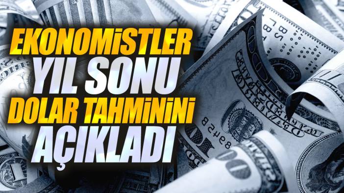 Ekonomistler yıl sonu dolar tahminini açıkladı