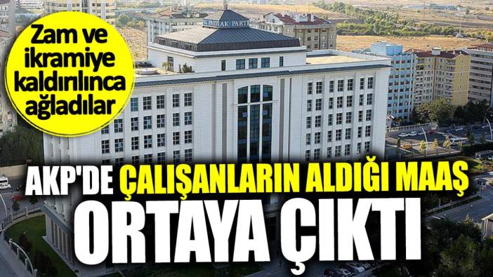 AKP'de çalışanların aldığı maaş ortaya çıktı! Zam ve ikramiye kaldırılınca ağladılar