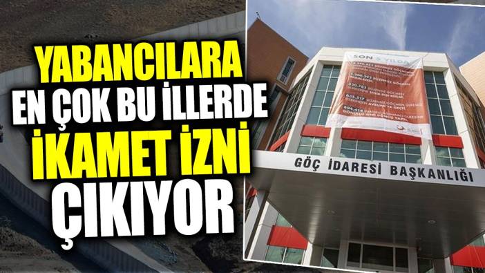 Yabancılara en çok bu illerde ikamet izni çıkıyor