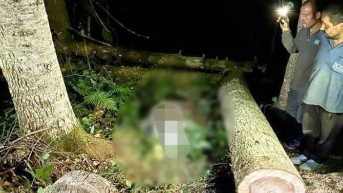 Kestiği ağacın altında kalan yabancı uyruklu işçi öldü