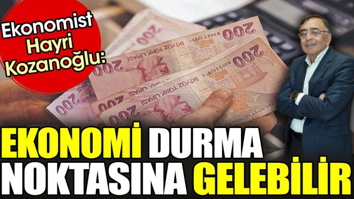 Ekonomist Hayri Kozanoğlu: Ekonomi durma noktasına gelebilir