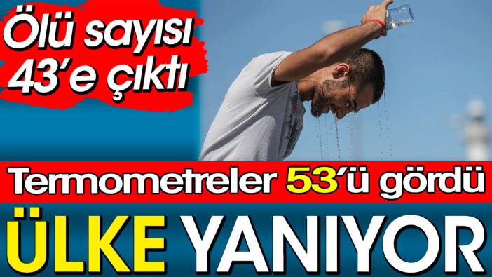 Hindistan yanıyor. Ölü sayısı 43’ü geçti