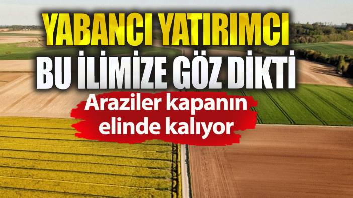 Yabancılar o ilimize göz dikti. Kapış kapış satın alıyor