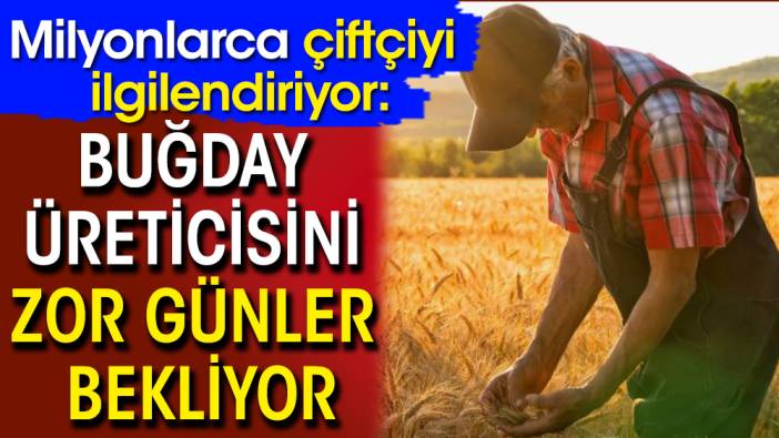 Milyonlarca çiftçiyi ilgilendiriyor: Buğday üreticisini zor günler bekliyor