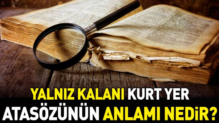 Yalnız kalanı kurt yer atasözünün anlamı nedir?