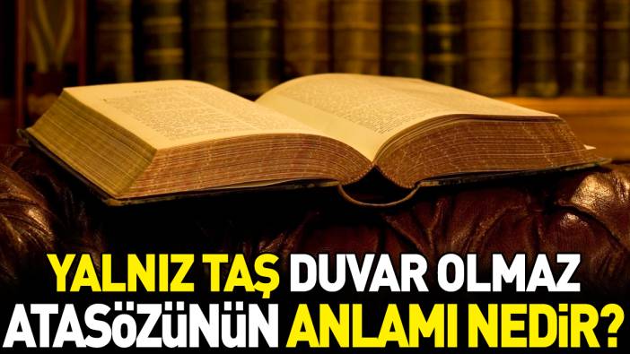 Yalnız taş duvar olmaz atasözünün anlamı nedir?