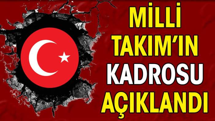 Milli Takım'ın kadrosu açıklandı