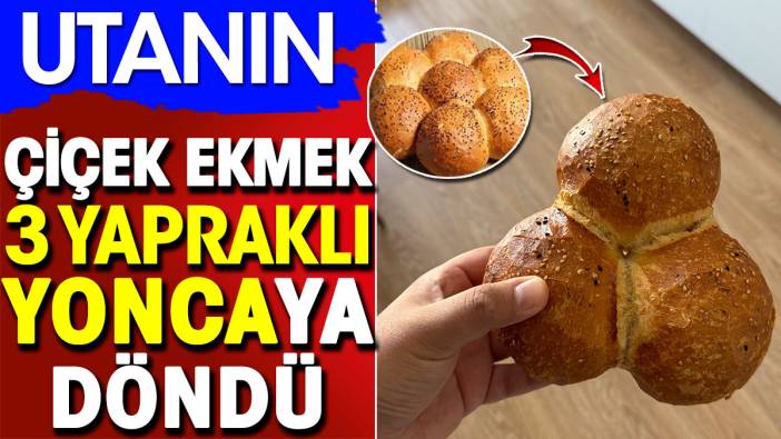 Çiçek ekmek 3 yapraklı yoncaya döndü. Utanın