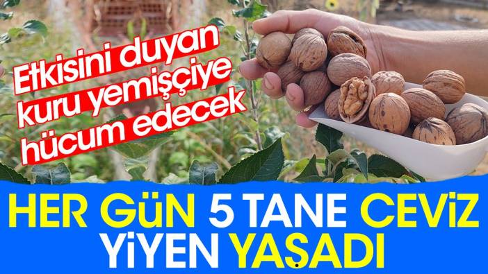 Her gün 5 tane ceviz yiyen yaşadı. Etkisini duyan kuru yemişçiye hücum edecek