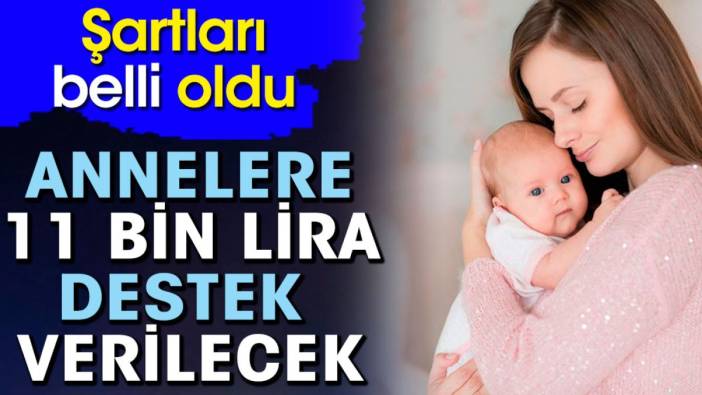 Annelere 11 bin lira destek verilecek. Şartları belli oldu