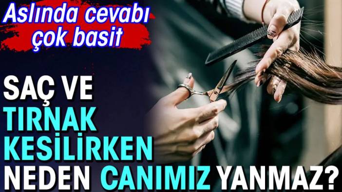 Saç ve tırnak kesilirken canımız neden yanmaz? Cevabı çok basit