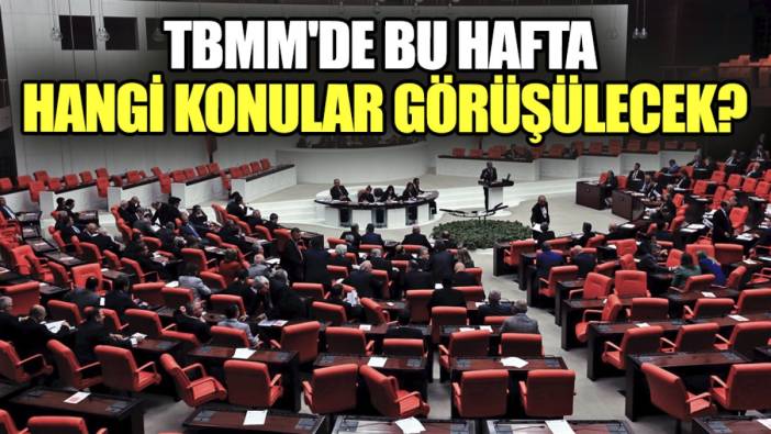 TBMM'de bu hafta hangi konular görüşülecek?