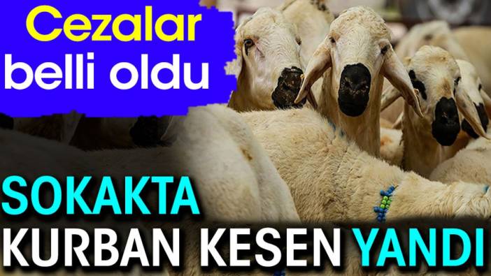 Sokakta kurban kesen yandı. Cezalar belli oldu