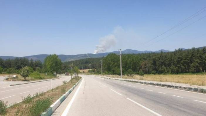 Bursa'da yangın! Havadan ve karadan müdahale ediliyor