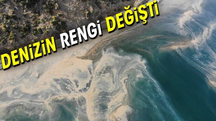 Tekirdağ'da denizin rengi değişti