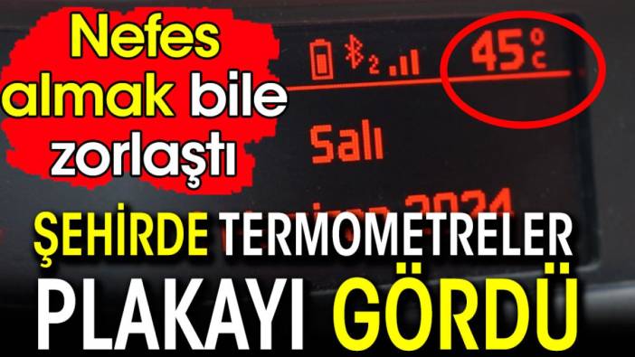 Termometreler plakayı gördü. Vatandaşlar kendilerini parklara attı