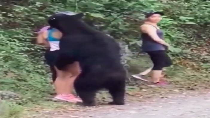 Doğa yürüyüşünde karşılaştıkları ayı turistlere zor anlar yaşattı