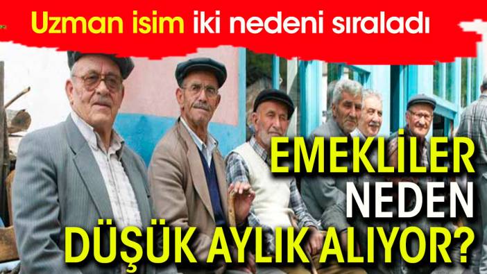 Emekli neden düşük aylık alıyor? Uzman isim iki nedeni açıkladı