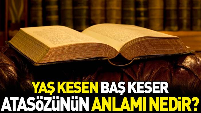 Yaş kesen baş keser atasözünün anlamı nedir?