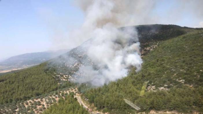 Muğla'daki orman yangınının nedeni yine şaşırtmadı