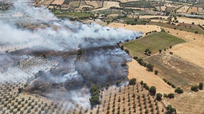 Manisa'da ekin tarlasında yangın: 35 dönümlük alan kül oldu