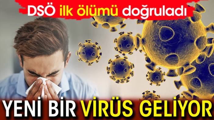 Yeni bir virüs geliyor! DSÖ ilk ölümü doğruladı