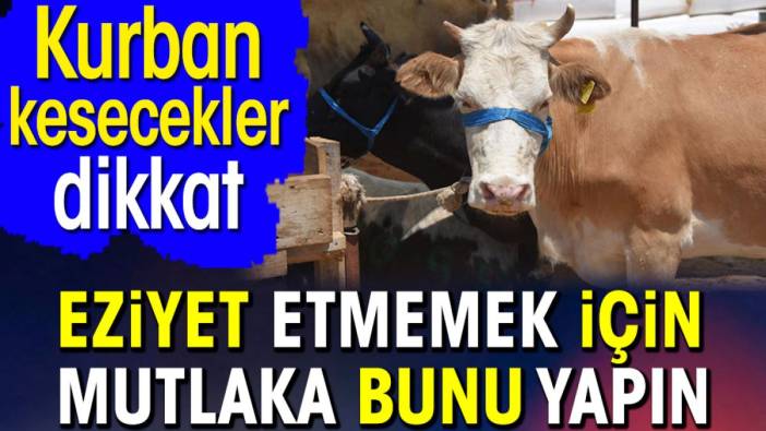 Kurban kesecekler dikkat! Eziyet etmemek için mutlaka bunu yapın