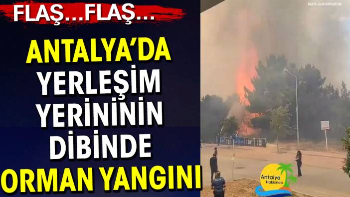 Antalya’da yerleşim yerinin dibinde orman yangını