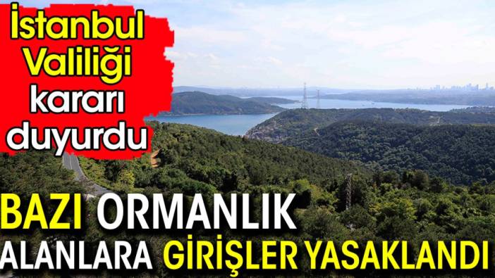 İstanbul'da ormanlara giriş kısıtlaması