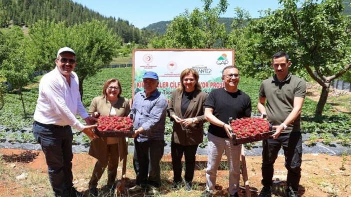 Huzurlu Yaylası’nda hasat başladı