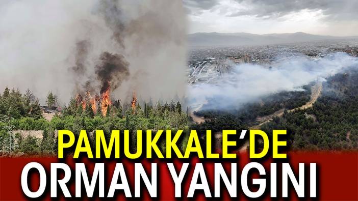 Pamukkale orman yangını! Hem havadan hem de karadan müdahale ediliyor